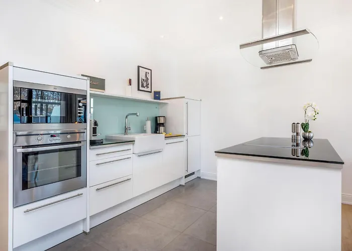 Paula Silbermoewe ゼリン