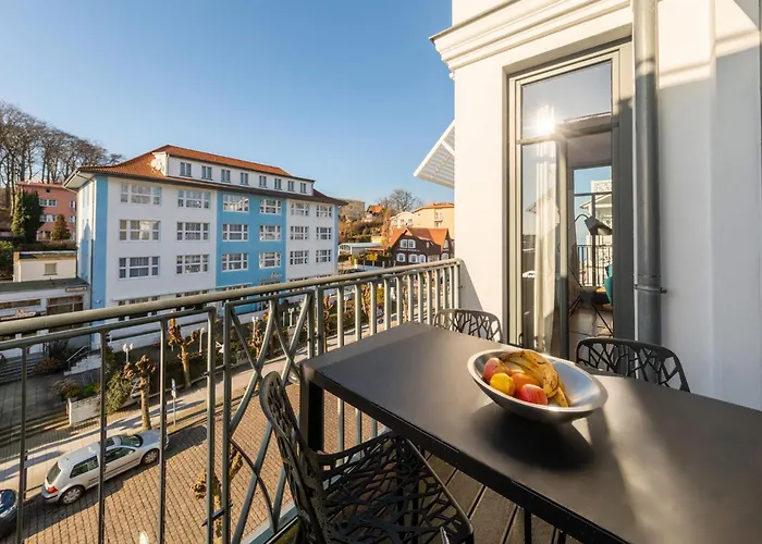 Paula Silbermoewe * ゼリン